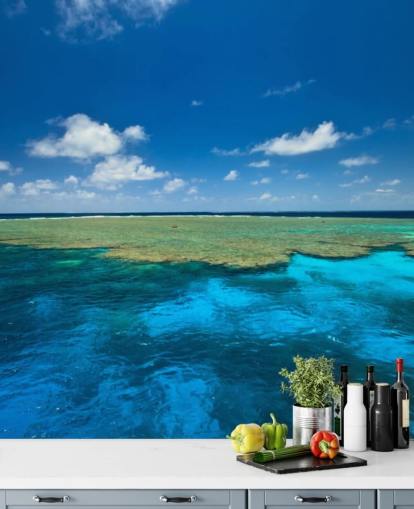 Beautiful Colors of Clam Gardens at Great Barrier Reef wallpaper