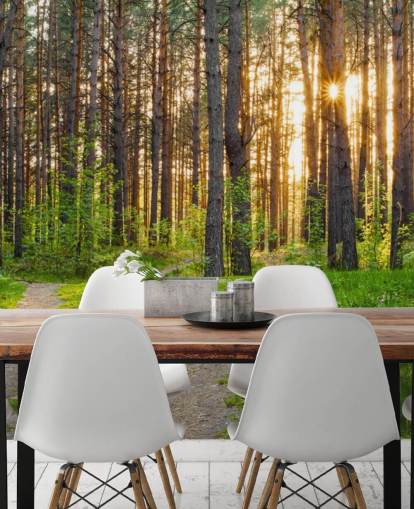 Fondo de pantalla Secret Woodland Path