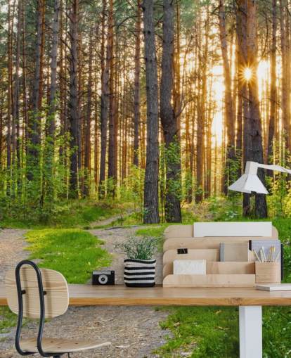 Geheimer Waldweg Tapete Geheimer Waldweg Tapete