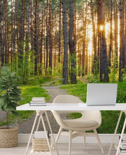 Papel de Parede Caminho Secreto da Floresta