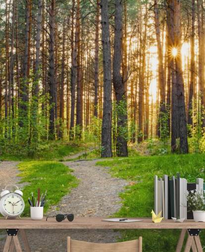 Secret Woodland Path Wallpaper