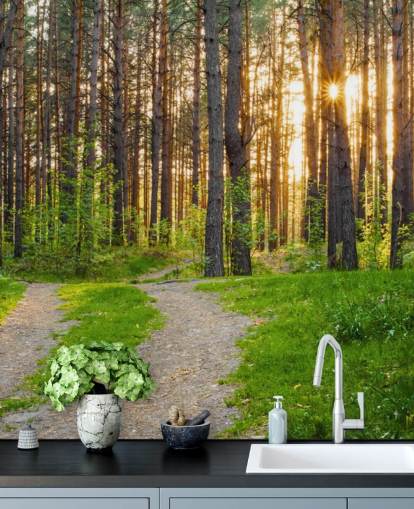 Hemmelige Woodland Path