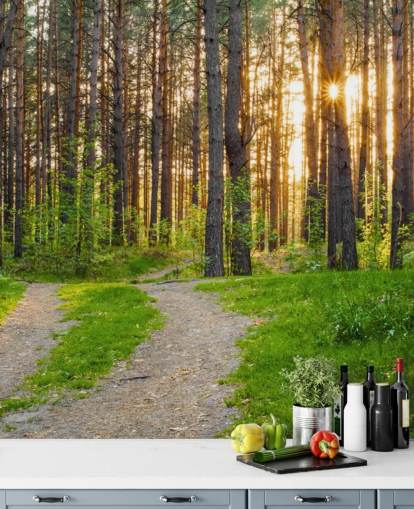 Secret Woodland Path Wallpaper