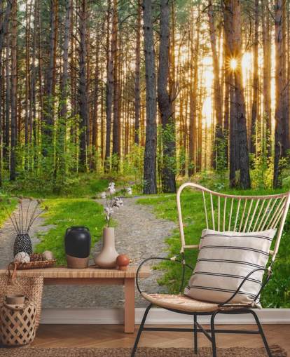 Secret Woodland Path Wallpaper Secret Woodland Path Wallpaper