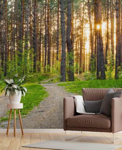 Secret Woodland Path Wallpaper