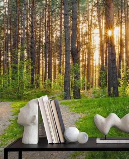 Fondo de pantalla Secret Woodland Path