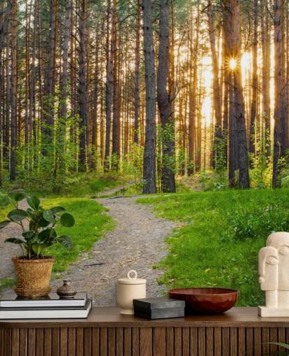 Secret Woodland Path Wallpaper Secret Woodland Path Wallpaper