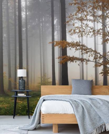 Misty Forest Wallpaper