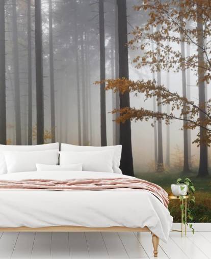 Misty Forest Wallpaper