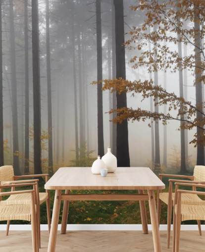 Misty Forest behang