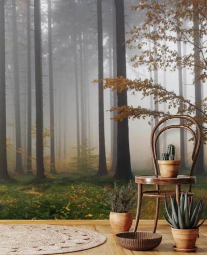 Carta da parati Misty Forest Carta da parati Misty Forest