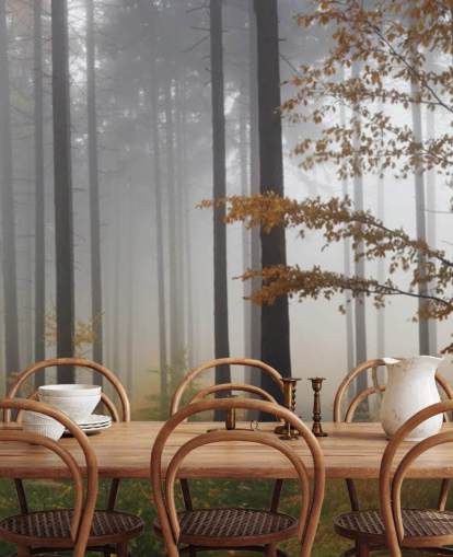 Misty Forest Wallpaper Misty Forest Wallpaper