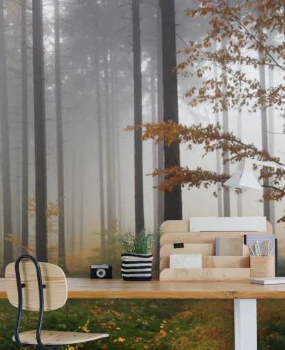 Misty Forest Wallpaper