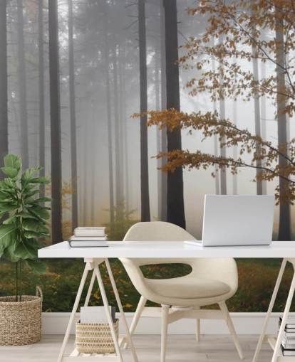 Misty Forest behang Misty Forest behang