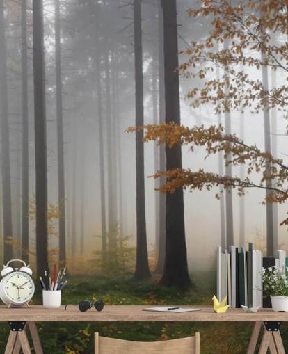 Carta da parati Misty Forest