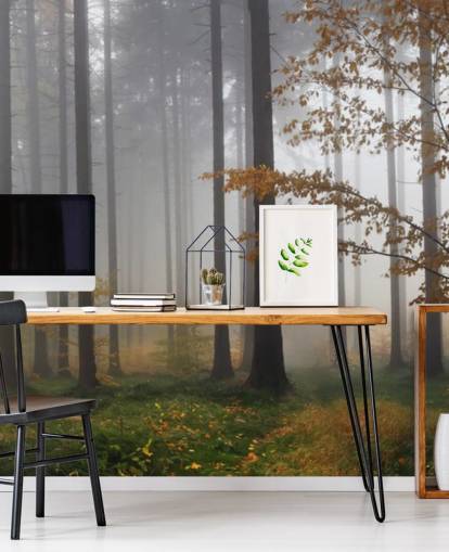 Papel de parede Misty Forest Papel de parede Misty Forest