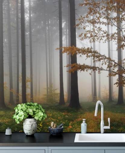 Papel de parede Misty Forest Papel de parede Misty Forest