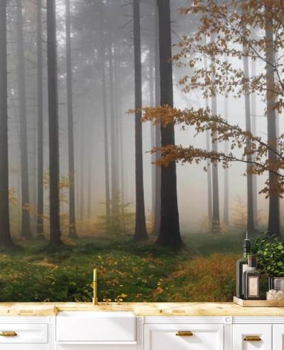 Fondo de pantalla Misty Forest Fondo de pantalla Misty Forest