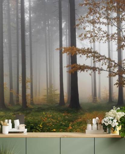 Tåkete Forest Bakgrunn