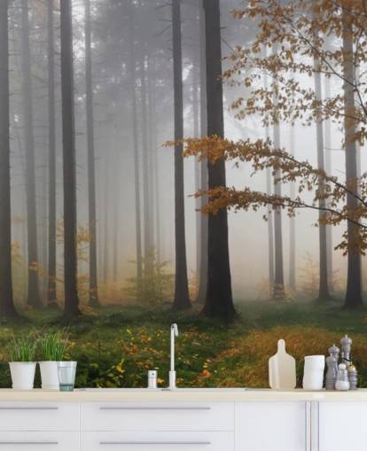 Tåkete Forest Bakgrunn