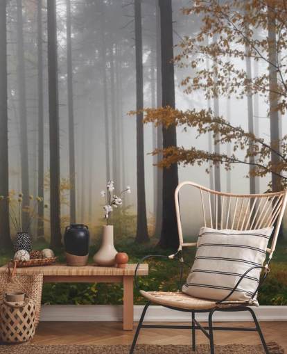 Misty Forest Baggrund