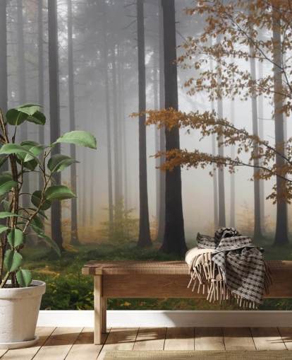 Papel de parede Misty Forest