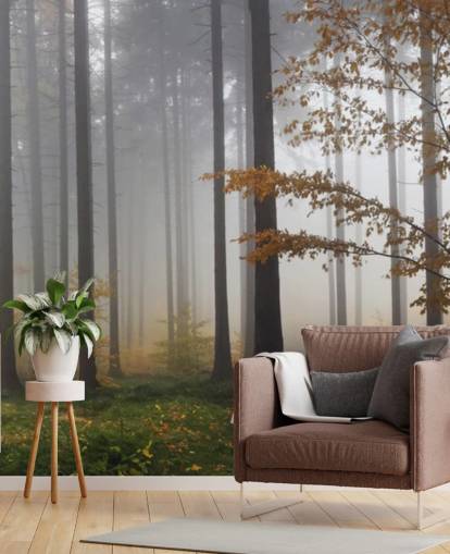 Carta da parati Misty Forest