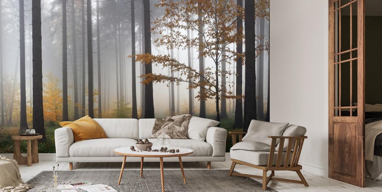 Misty Autumn Forest Wallpaper | Wallsauce UK