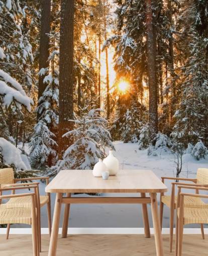 mural de papel pintado de bosque personalizable blanco llamado Winter Wonderland para comedores y salas de estar