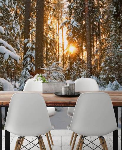 mural de papel pintado de bosque personalizable blanco llamado Winter Wonderland para comedores y salas de estar