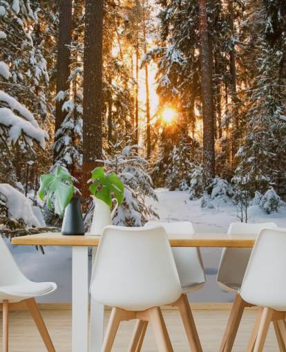 mural de papel pintado de bosque personalizable blanco llamado Winter Wonderland para comedores y salas de estar