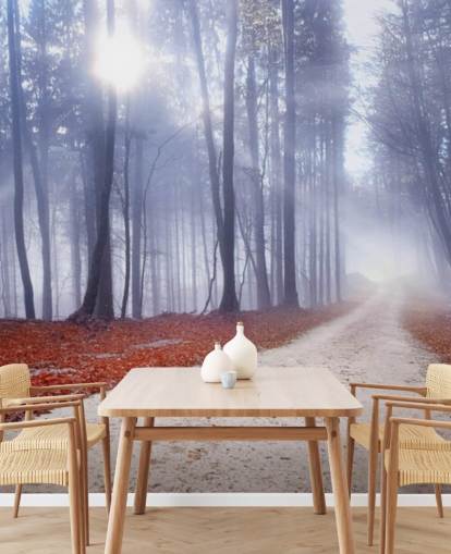 Carta da parati Autumnal Misty Forest