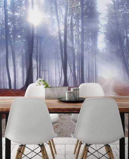 Autumnal Misty Forest Wallpaper