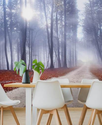 Autumnal Misty Forest Wallpaper