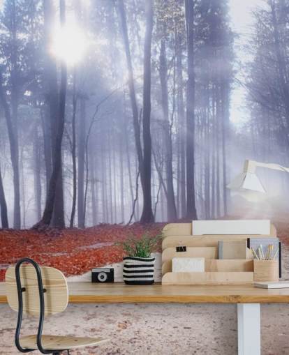 Autumnal Misty Forest Wallpaper