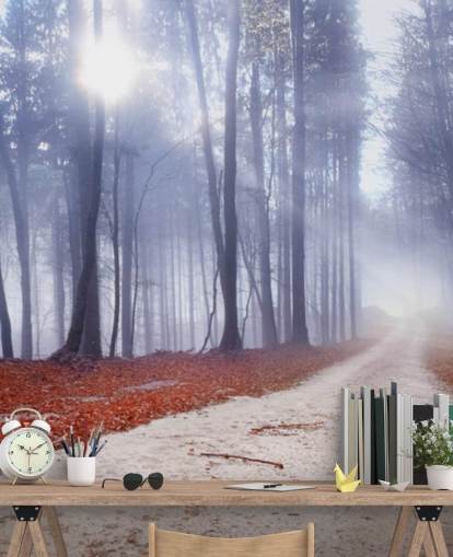 Carta da parati Autumnal Misty Forest