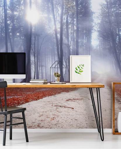 Høst Tåkete Forest Bakgrunn