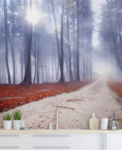 Autumnal Misty Forest Wallpaper Autumnal Misty Forest Wallpaper
