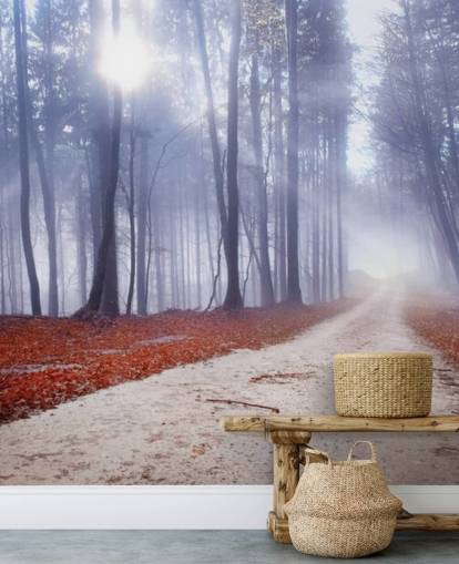 Autumnal Misty Forest Wallpaper