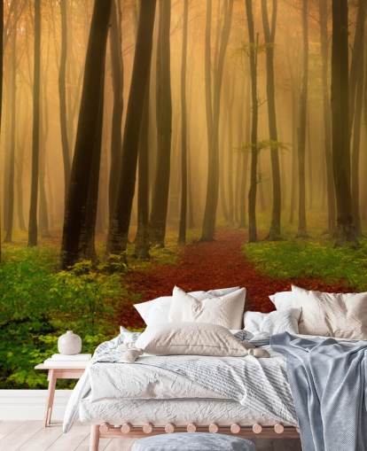 Autumn Forest Wallpaper