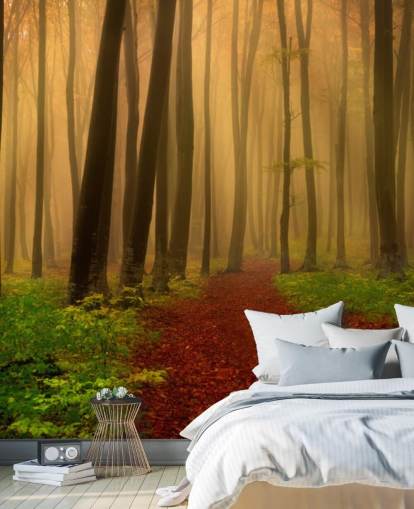 Autumn Forest Wallpaper