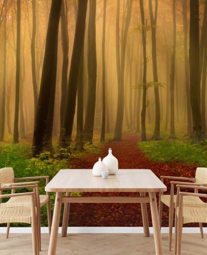 Autumn Forest Behang
