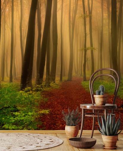 Carta da parati autunno foresta