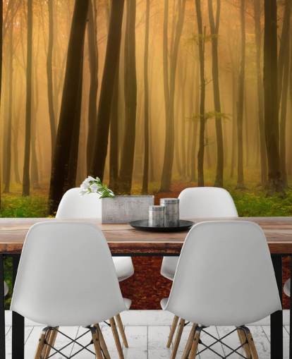 Autumn Forest Wallpaper Autumn Forest Wallpaper