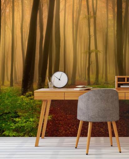 Autumn Forest Wallpaper Autumn Forest Wallpaper