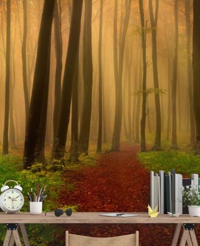 Autumn Forest Behang Autumn Forest Behang