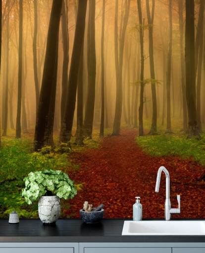 Autumn Forest Wallpaper Autumn Forest Wallpaper