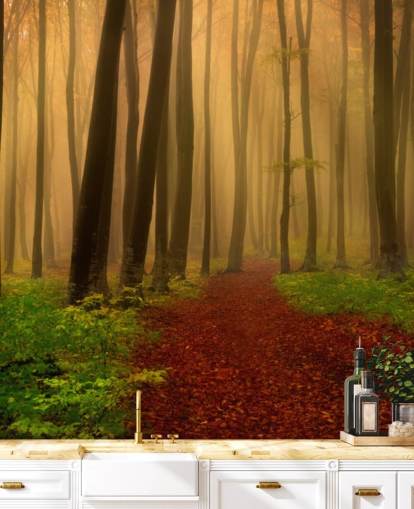 Papel de parede floresta outono