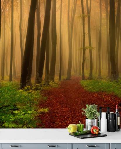 Autumn Forest Wallpaper Autumn Forest Wallpaper