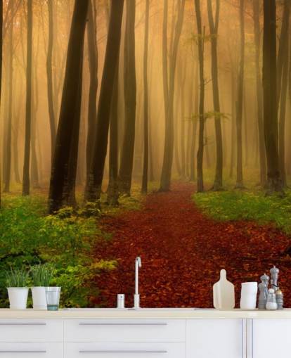 Autumn Forest Wallpaper